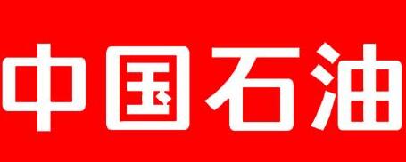 中國石油廣西石化公司總經理雍瑞生簡歷，廣西石化領導班子